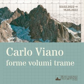Carlo Viano. forme volumi trame 